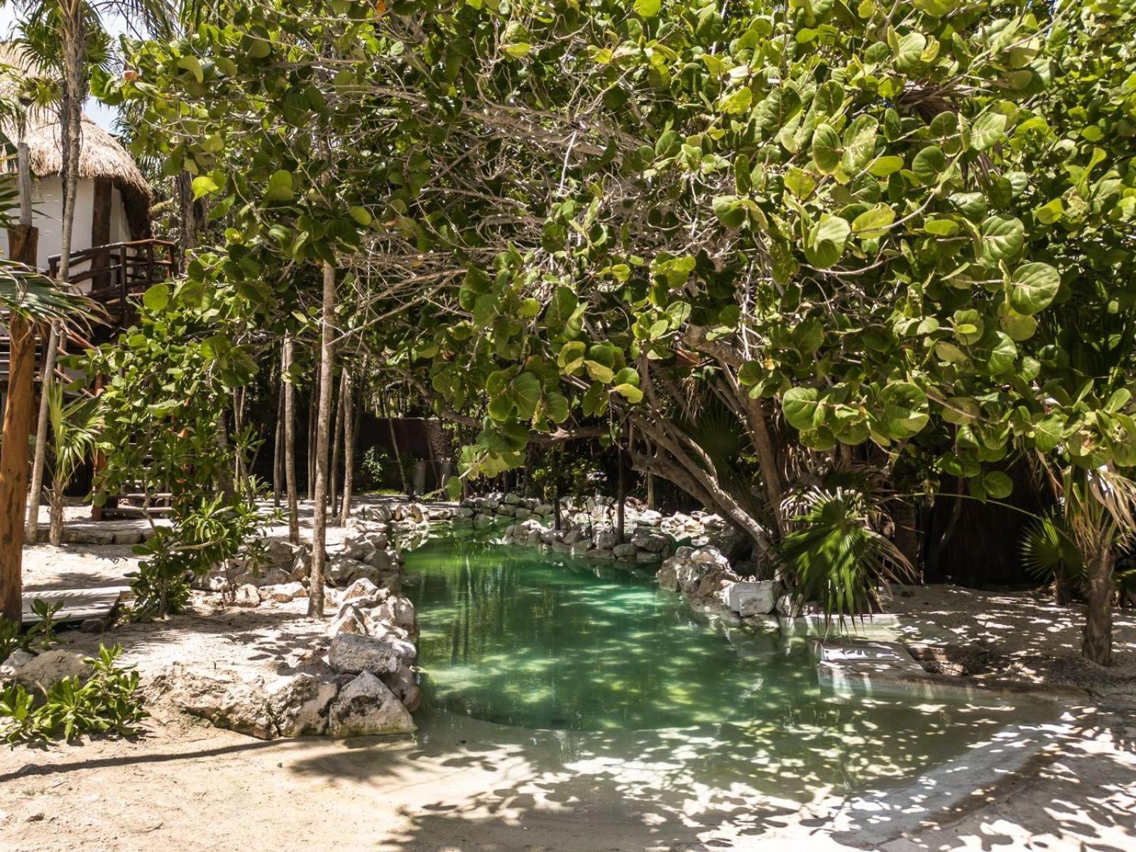Niken Beachfront Tulum Hotel Exteriér fotografie