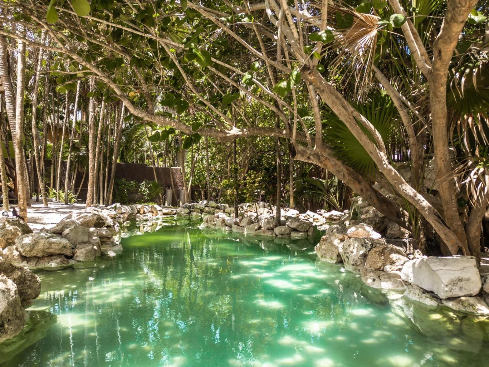 Niken Beachfront Tulum Hotel Exteriér fotografie